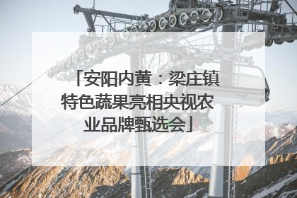 安阳内黄：梁庄镇特色蔬果亮相央视农业品牌甄选会